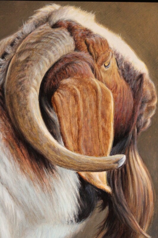 Old Goat by George Lockwood Copyright 2019